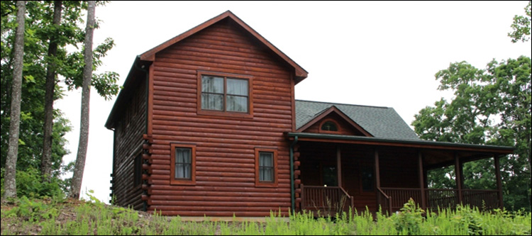 Professional Log Home Borate Application  Clay County, Georgia